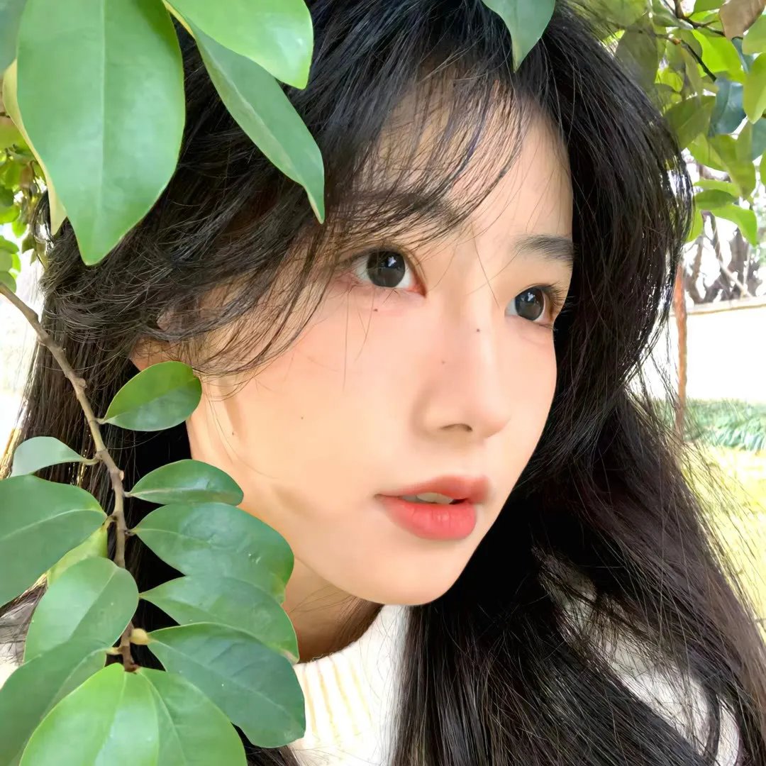爱情公寓5