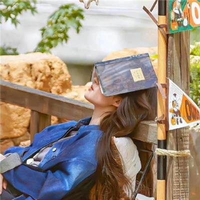 不可能的拍档 海报